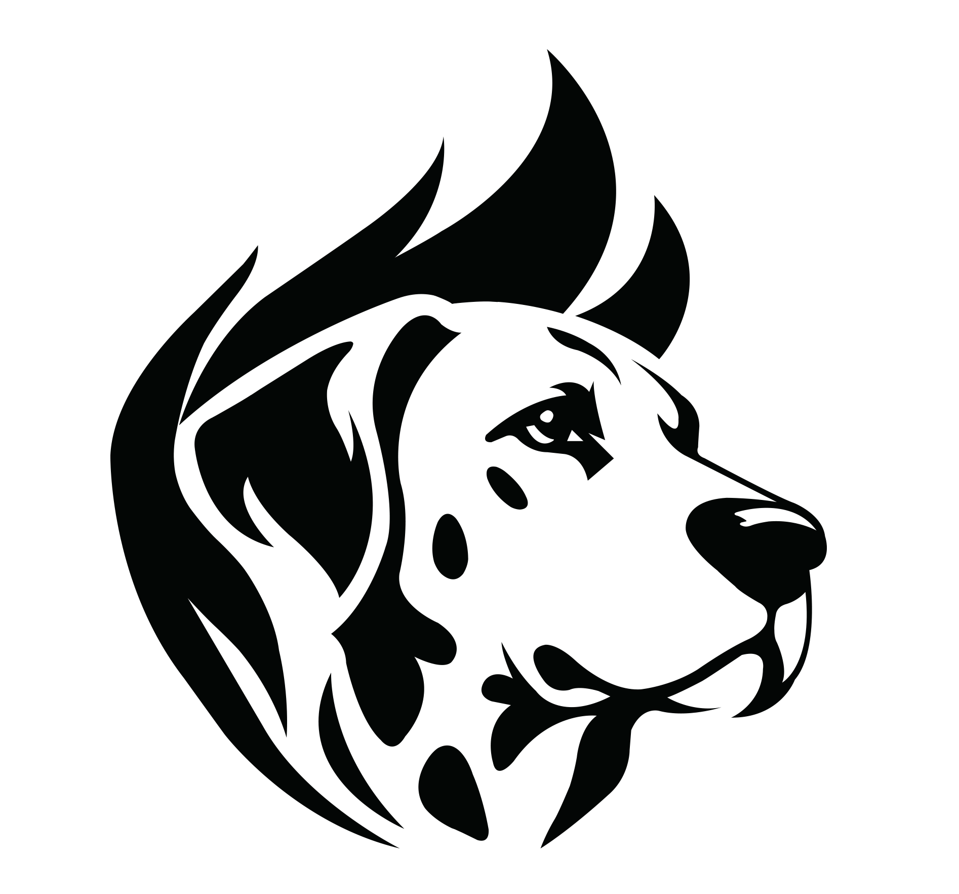 Fire Dog Technologies